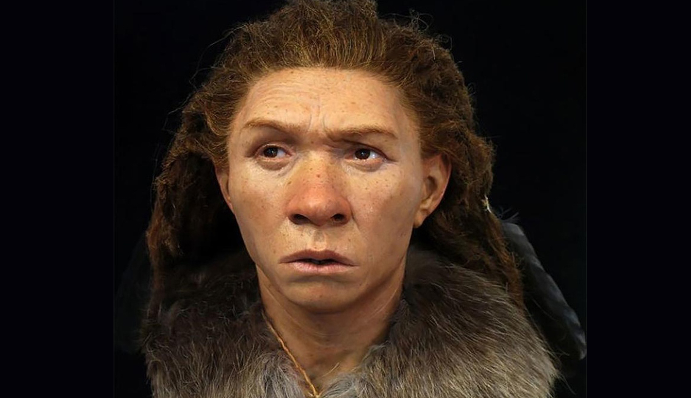 Латынина неандерталец
