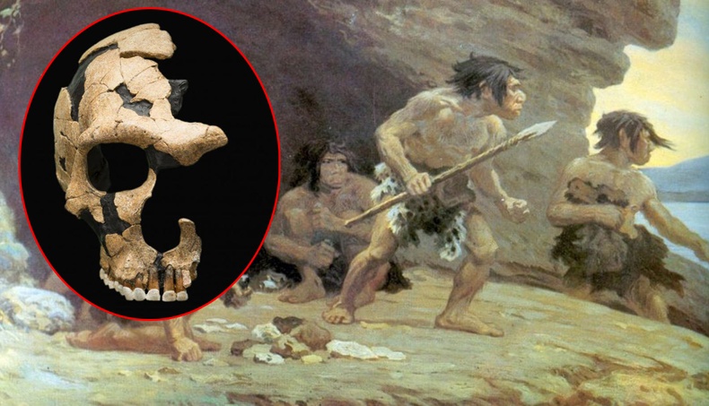 Бидний өвөг дээдэстэй 100 мянган жилийн турш дайтсан "Неандертальчууд"