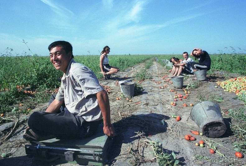 "Урвуу хотжилт" - Хятадын иргэд хотоос явж, хөдөө нутагт фермерийн аж ахуй эрхлэх нь нэмэгджээ