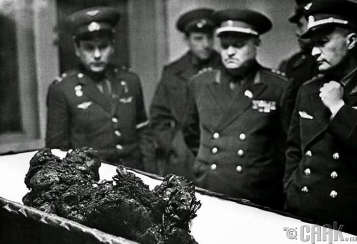 Владимир Комаров (Vladimir Komarov)