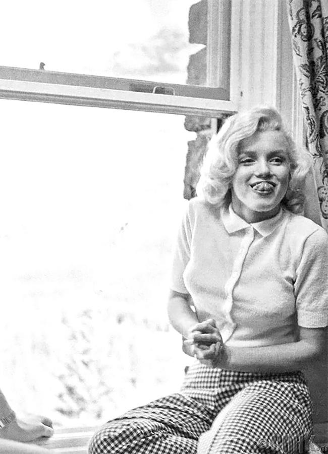 Мэрилин Монро, 1953 он