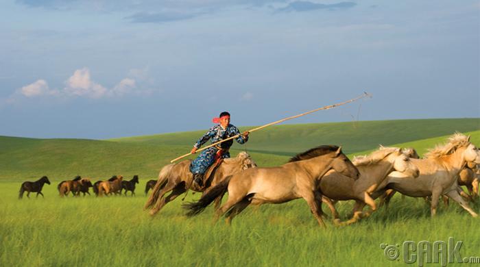 Монгол орон үнэхээр сайхан байгалтай