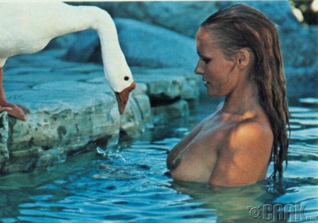 Шведийн алдарт жүжигчин Урсула Андресс (Ursula Andress)-ийн  цээж нүцгэн төрх