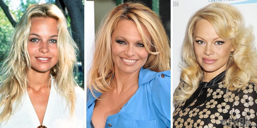 Памела Андерсон (Pamela Anderson) - 1996, 2010 болон 2016 он