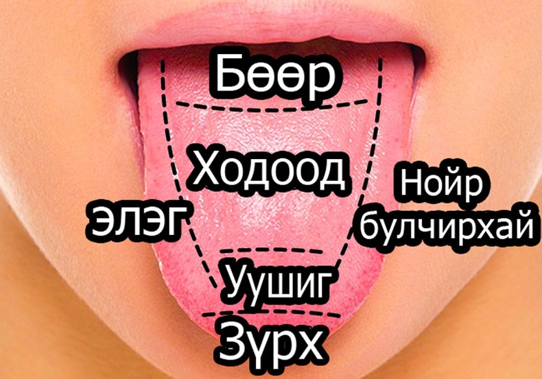 Хэлний гадарга биеийн аль хэсэг өвчилснийг харуулдаг