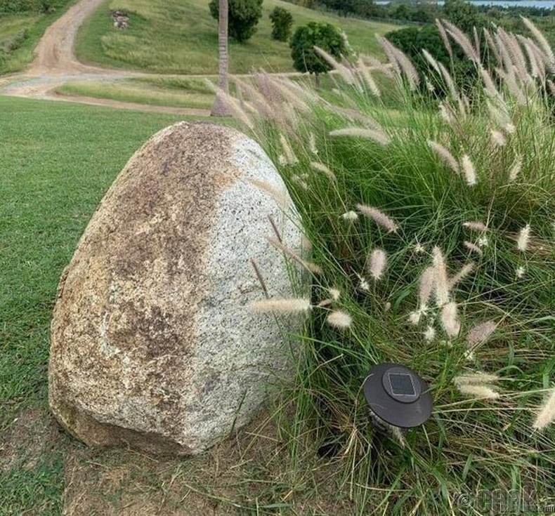 Салхинд найгах өвс чулууны нэг талыг олон жилийн турш цэвэрлэжээ