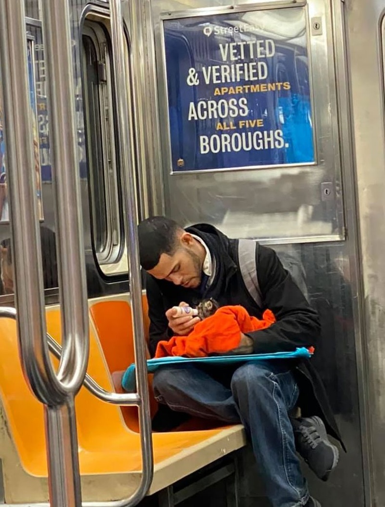 Гудамжнаас олсон муужгайгаа метрон дотор тэжээж буй залуу