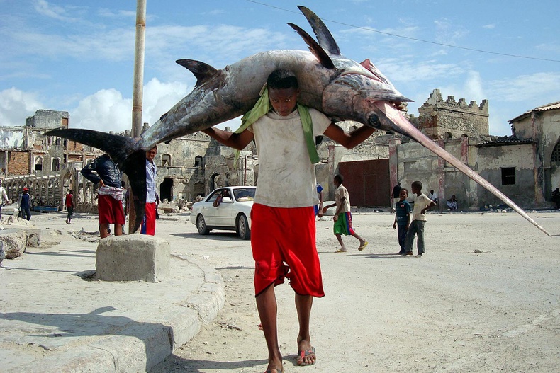 Сомалийн загасчин залуу