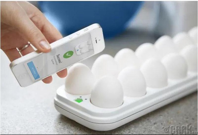 Quirky Smart Egg Tray