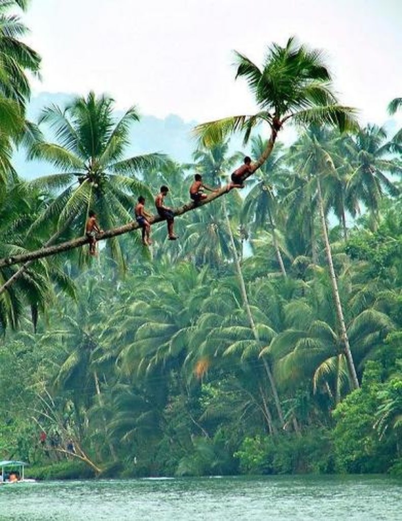 Extreme зурагнууд (16 фото)