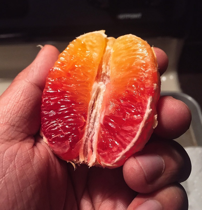 Энэ жимс яаж ийм өнгөтэй болсон юм бол?