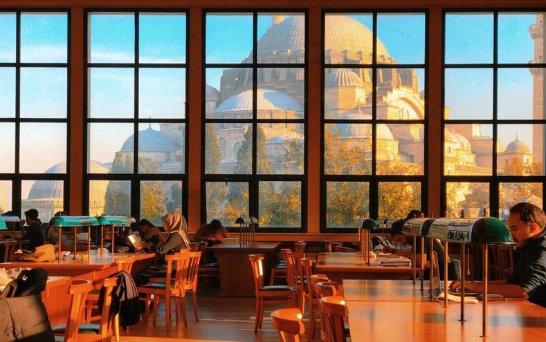 Истанбулын их сургуулийн номын сангийн цонхоор