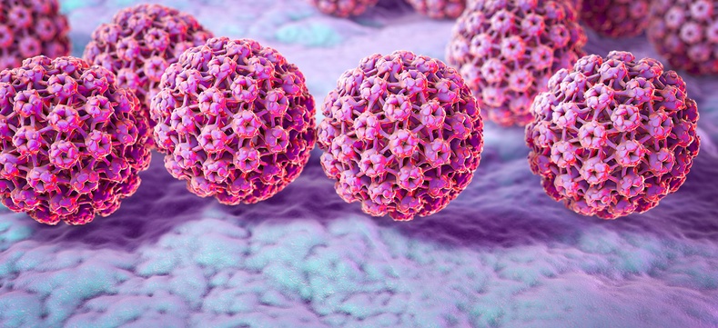 Хүний папилома вирус (HPV)