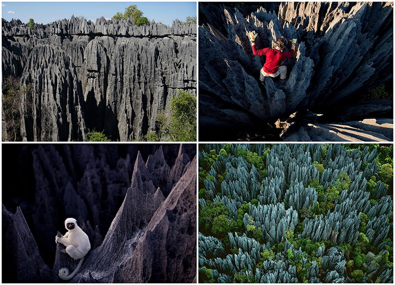 Мадагаскарын гайхалтай "Хадан ой"