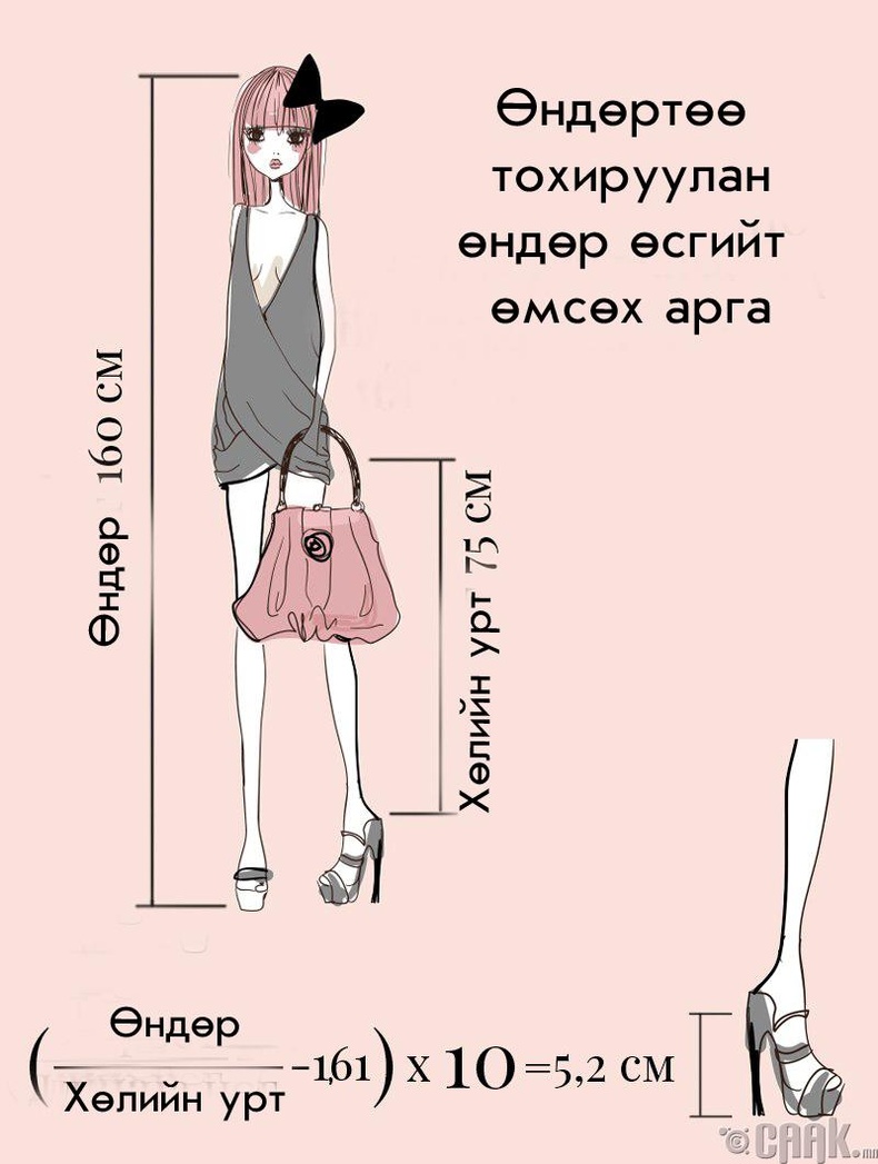 Биеийн өндөр болон хөлийн уртаараа хэмжих