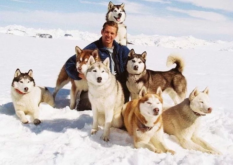 Пол Уокер 2006 онд "Eight Below " кино зураг авалтын үеэр