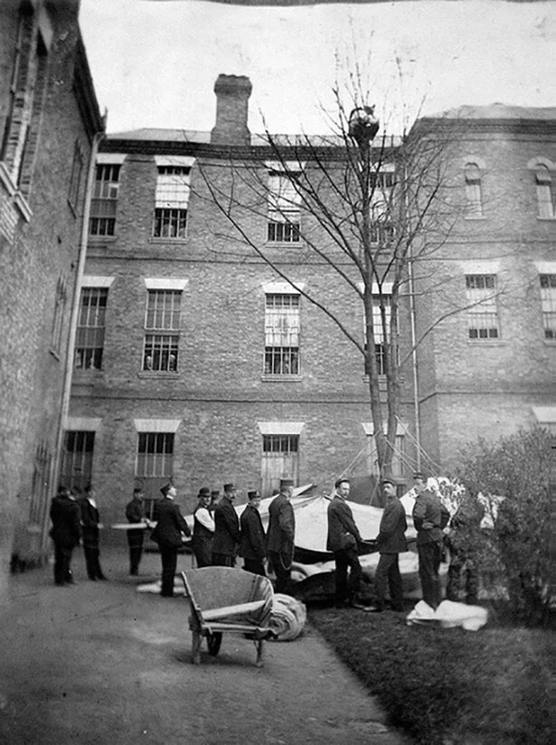 Өвчтөнийг модноос буухыг хүлээж буй сэтгэцийн эмнэлгийн ажилтнууд - Лондон, 1895