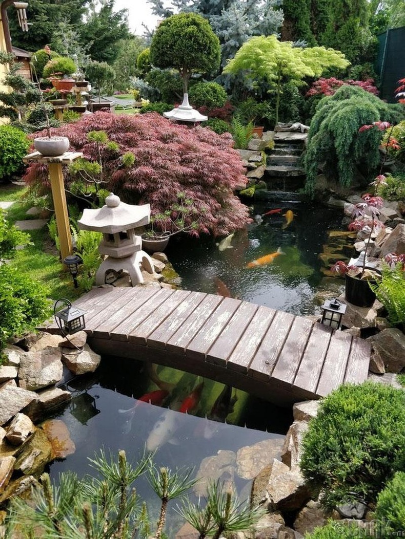 Японы цэцэрлэгт хүрээлэн бол нэгэн төрлийн урлаг