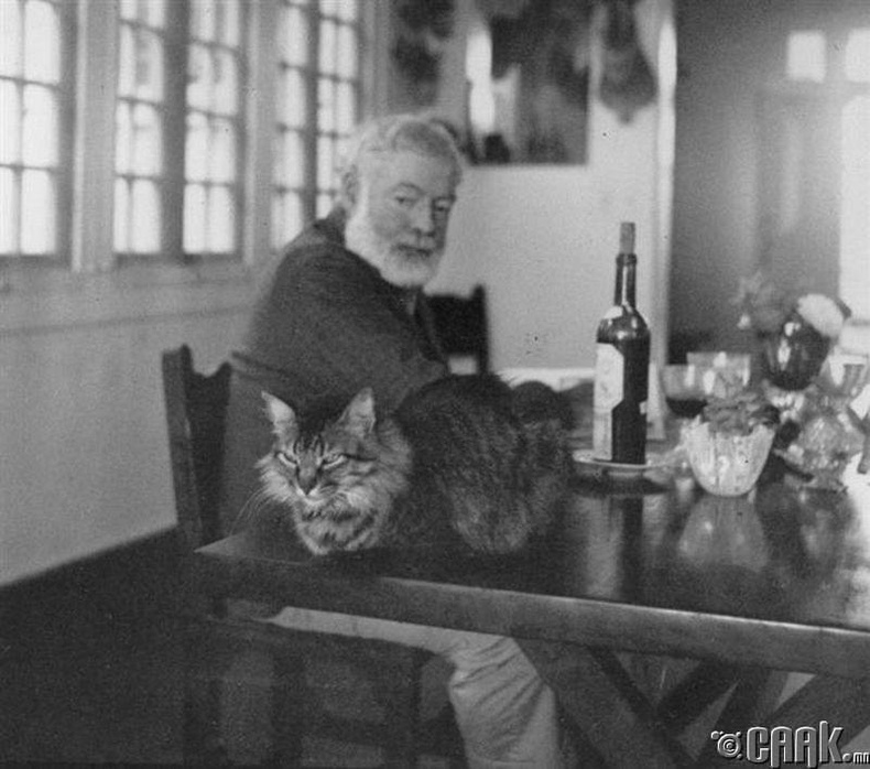 Эрнест Хемингуэй (Ernest Hemingway) - Мууранд хайртай байх