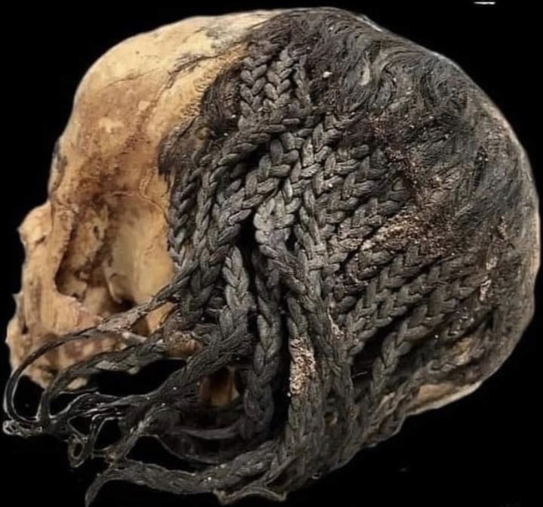 Египетээс олдсон 3300 жилийн настай, сүлжсэн үстэй хүний гавлын яс