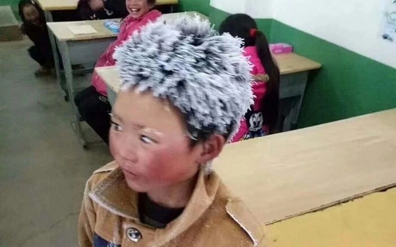 Хүн бүрийн өрөвч сэтгэлийг төрүүлж байсан Хятадын "Мөсөн жаал"-ын түүх