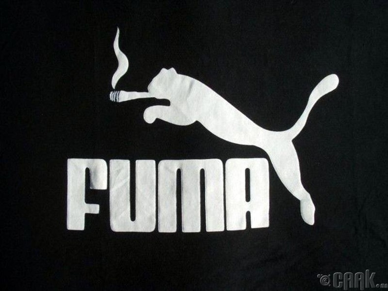 Спорт хувцасны брэнд "Fuma"