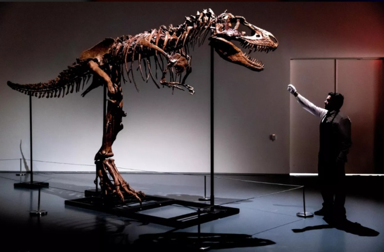 76 сая жилийн настай үлэг гүрвэлийн араг ясыг дуудлагаар худалджээ