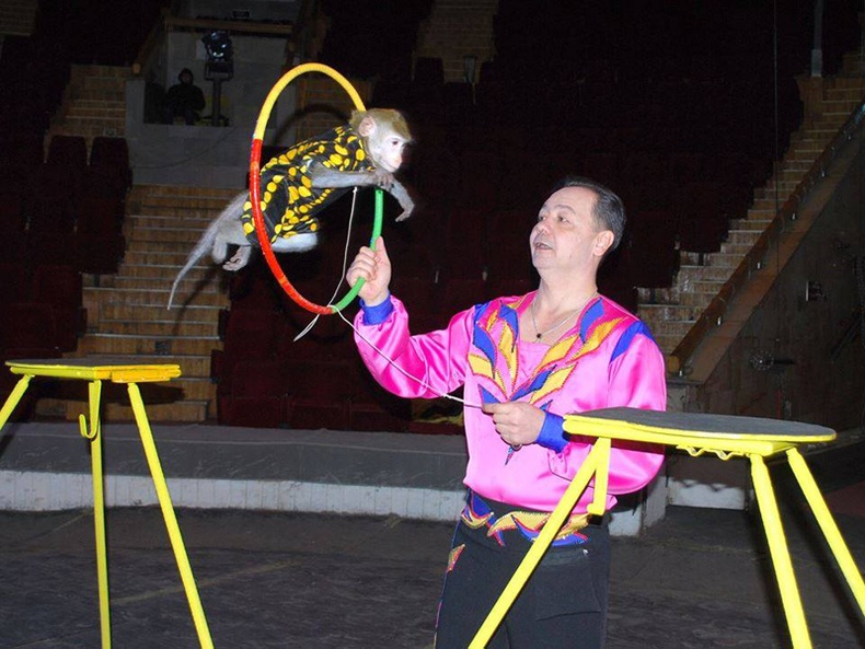 “Дэлхийн цирк Монголд-2016” тоглолтонд оролцох амьтдыг авчирчээ