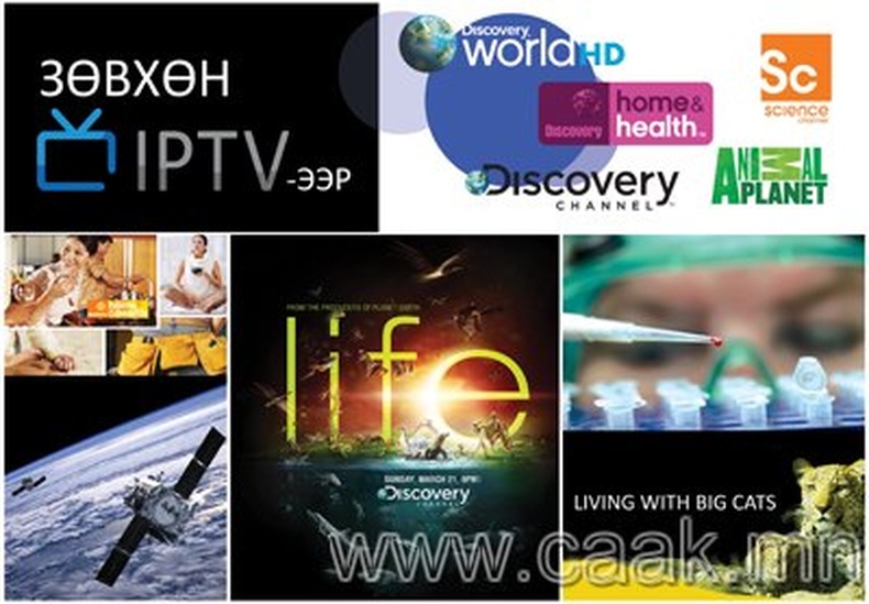 IPTV: Дэлхийн шилдэг танин мэдэхvйн суваг - Discovery Channel