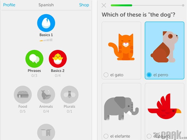 “Duolingo”