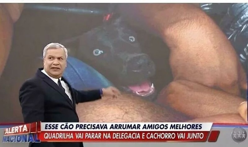 Бразилын нэг өдөр: Хар тамхины наймаачдад тусалсан хэргээр баривчлагдсан нохой