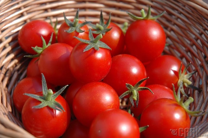 Нойр булчирхайд тустай хүнснүүд: Улаан лооль