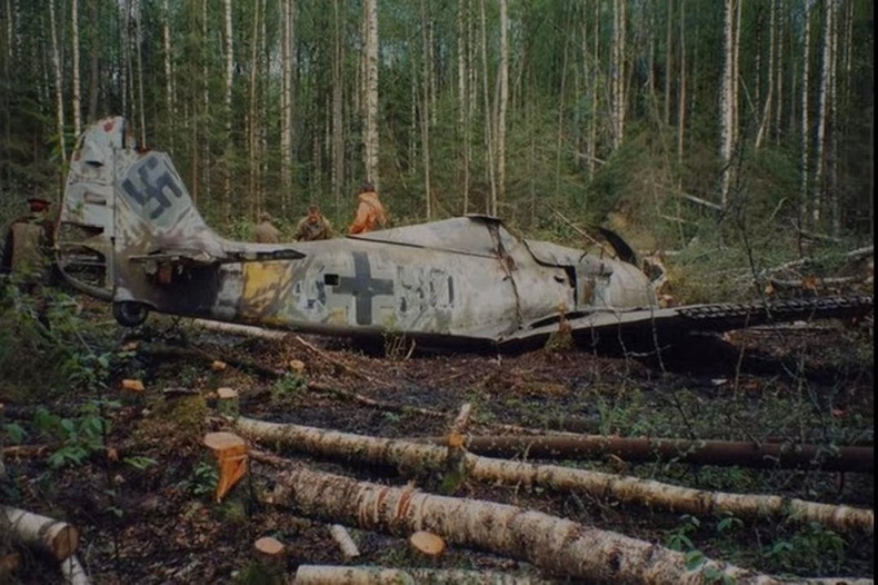 Ойд унасан нацист Германы онгоц 1989 онд олджээ