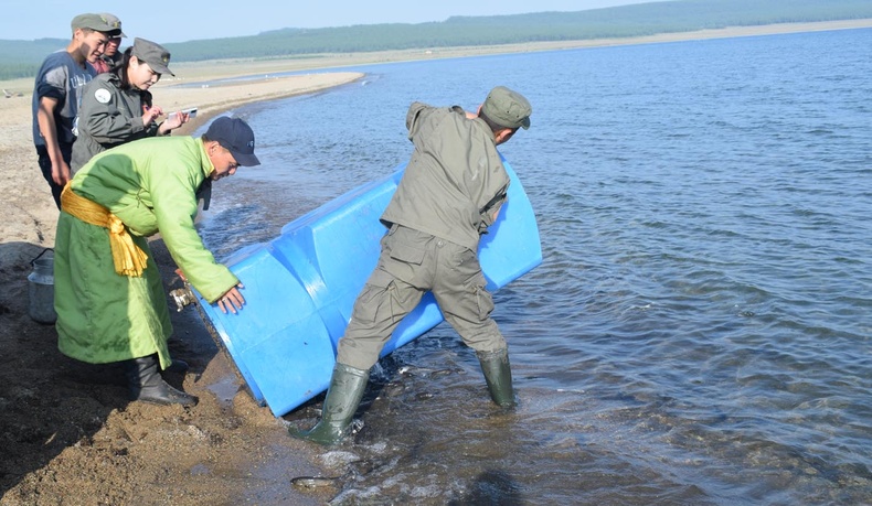 Хөвсгөлийн Улсын тусгай хамгаалалттай газруудын байгалийн нөөцийг хамгаалах зорилгоор хийж гүйцэтгэсэн 8 чухал ажлыг нэрлэж байна