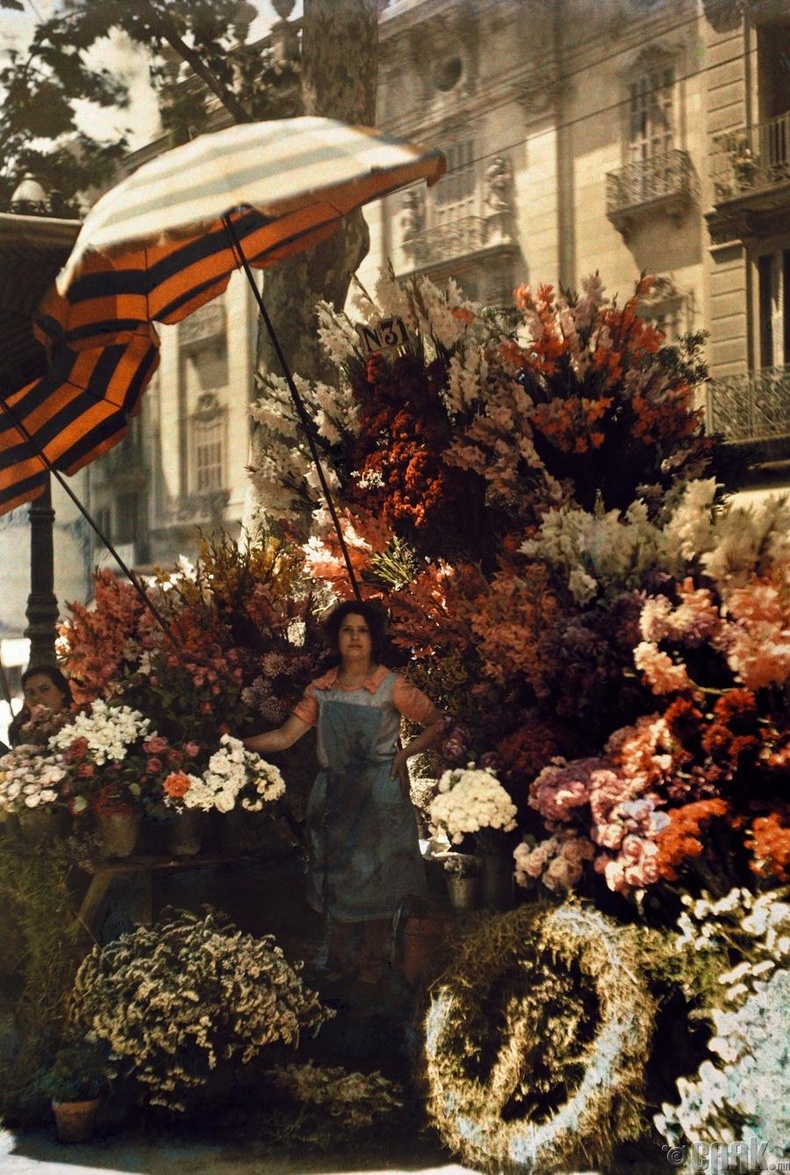 Цэцгэн дундах бүсгүй, Барселон, Испани, 1929 он