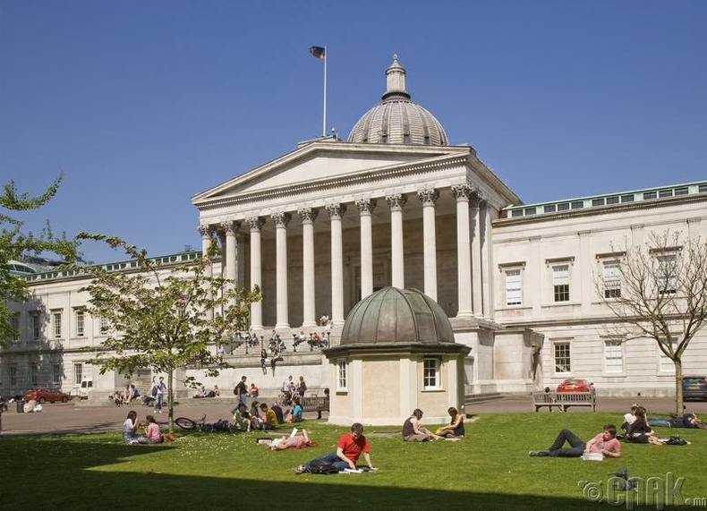 "University College London", Их Британи - 95.6 оноо