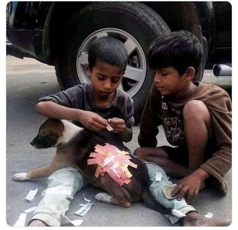 Энэтхэг хүүхдүүд өөрсдөө өмсөх гуталгүй хэр нь өвдсөн нохойд тусалж буй нь