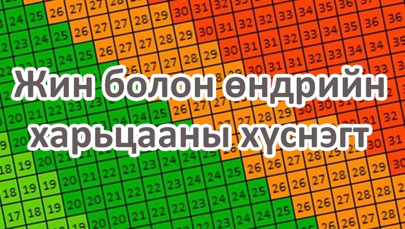 Мэргэжлийн фитнесийн багш нарын илүүдэл жингийн харьцааг тогтоодог 5 арга