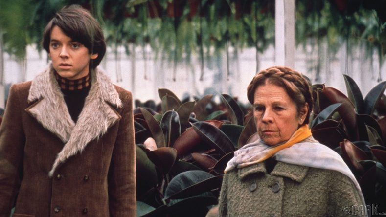 “Харольд, Мауд хоёр” (Harold and Maude) - 1971 он