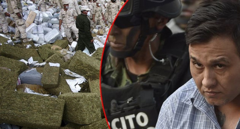 Мексикийг атгадаг хамгийн цуутай, хүчирхэг хар тамхины бүлэглэлүүд