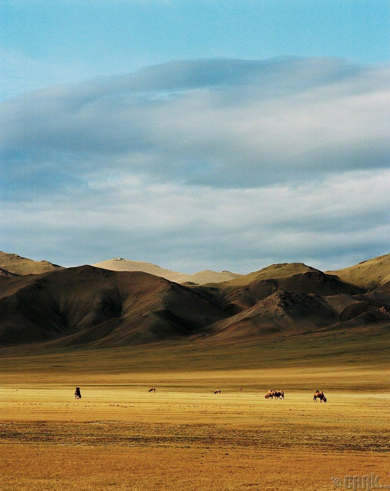 Монголын намрын өнгө үнэхээр содон