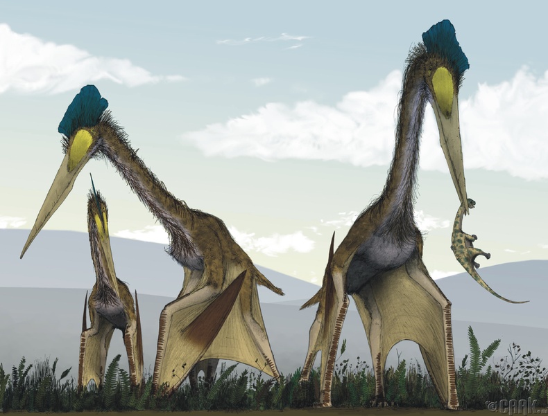 "Quetzalcoatlus"