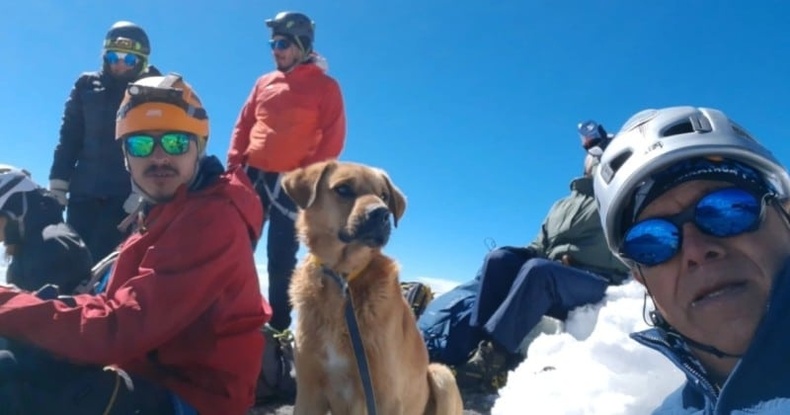 Мексик дэх галт уулын оргил дээр гацсан нохойг аврахын тулд 30 уулчин авиралт хийжээ