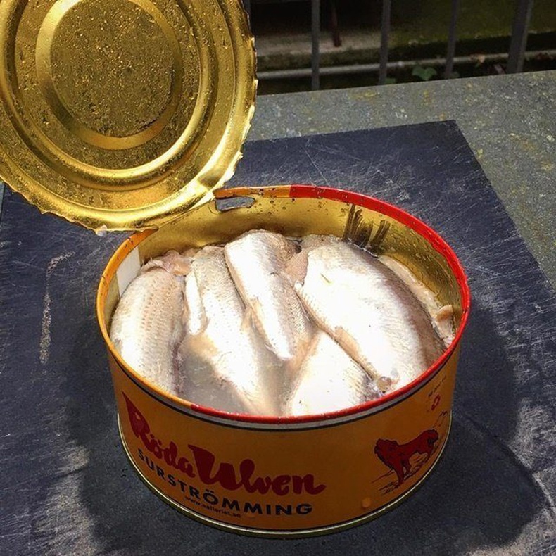 Surströmming – Швед