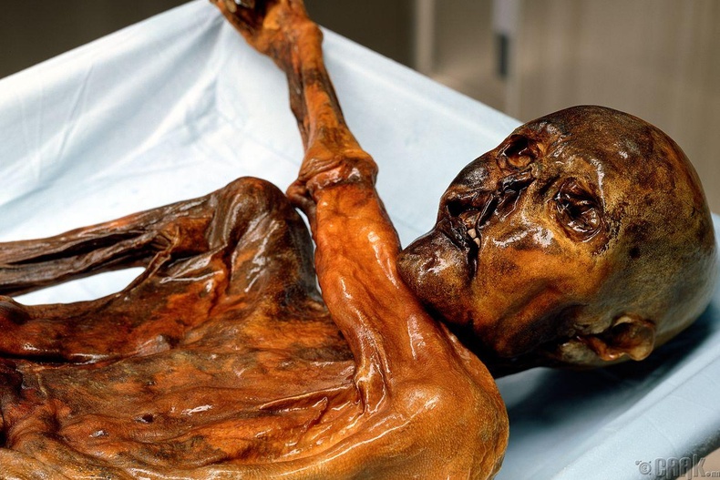 Отци мумми (Mummy Ötzi)