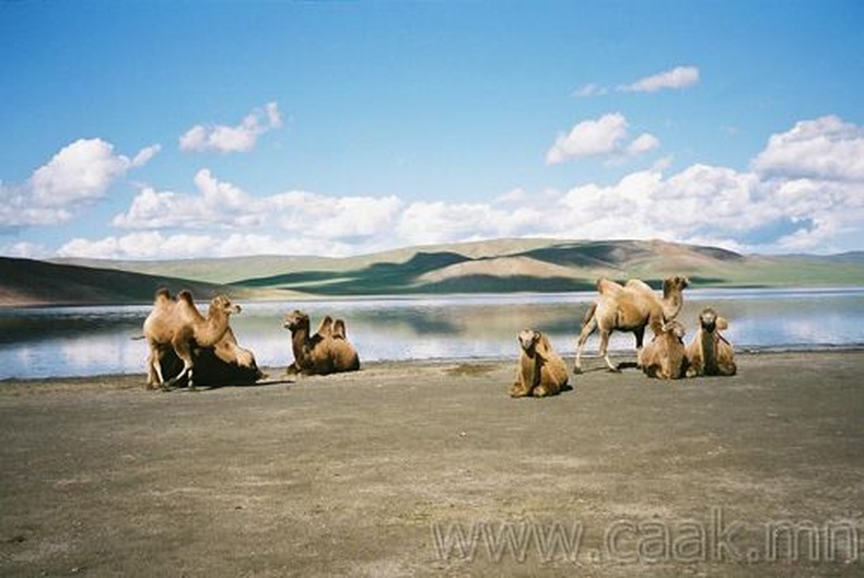 Mongolian Nature (17 фото)