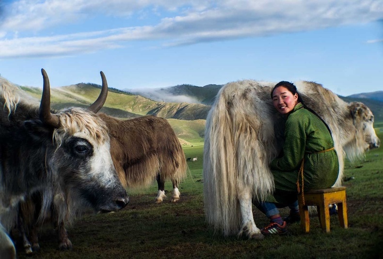 "Өнгөлөг Монгол" - Гэрэл зурагчин Пол Коксын шилдэг бүтээлийн цомгоос