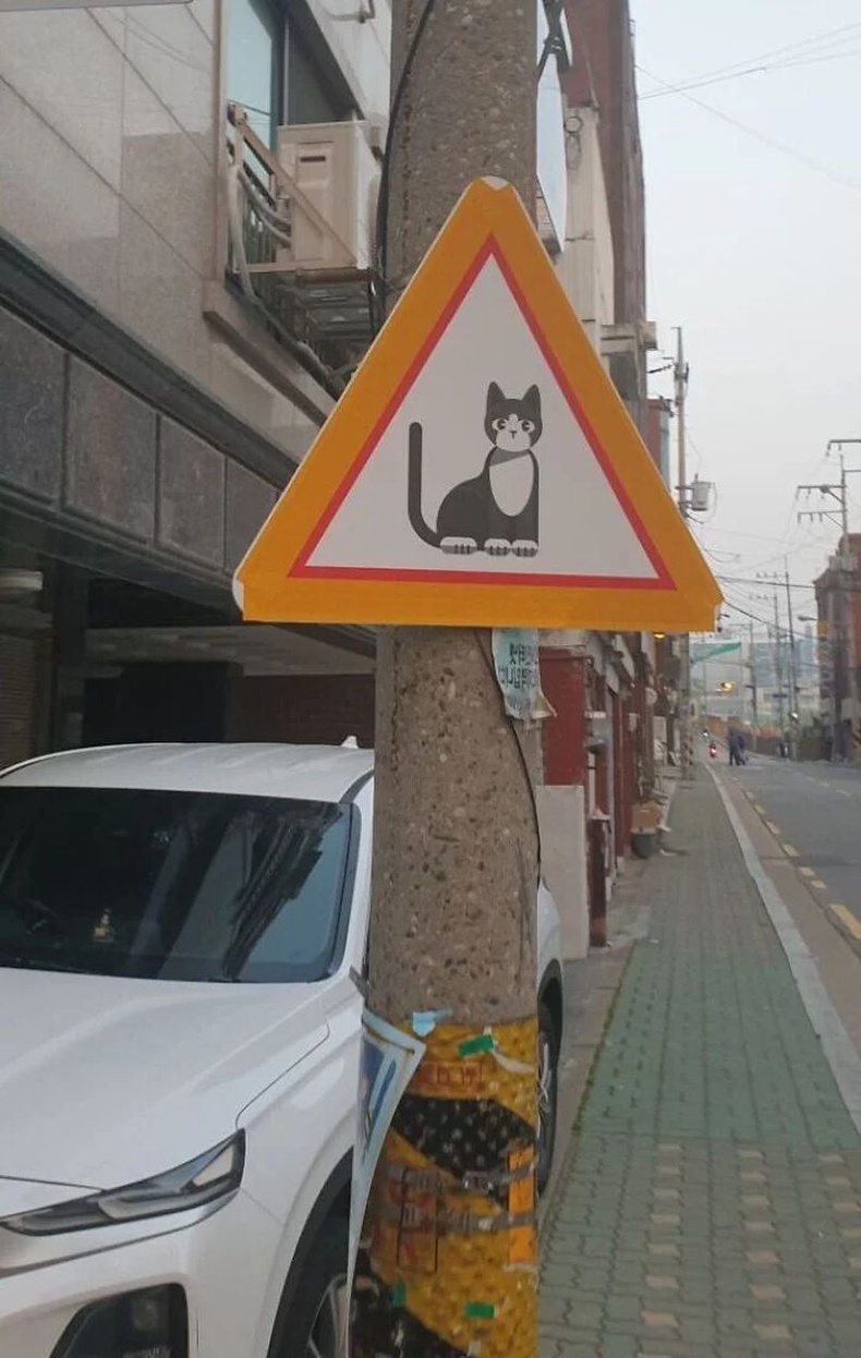 Муур ихтэй гудамж дахь замын тэмдэг