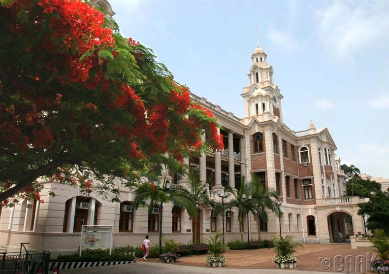 Хонконгийн их сургууль (The University of Hong Kong)