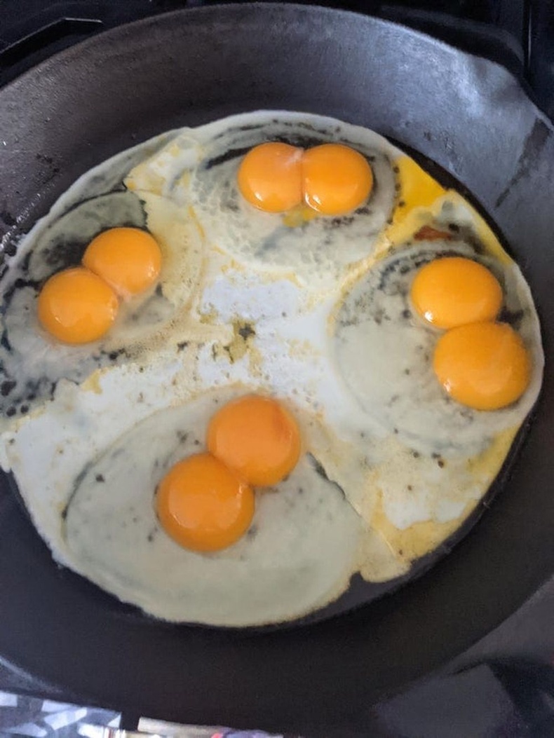 Тус бүрдээ хоёр шартай дөрвөн өндөг